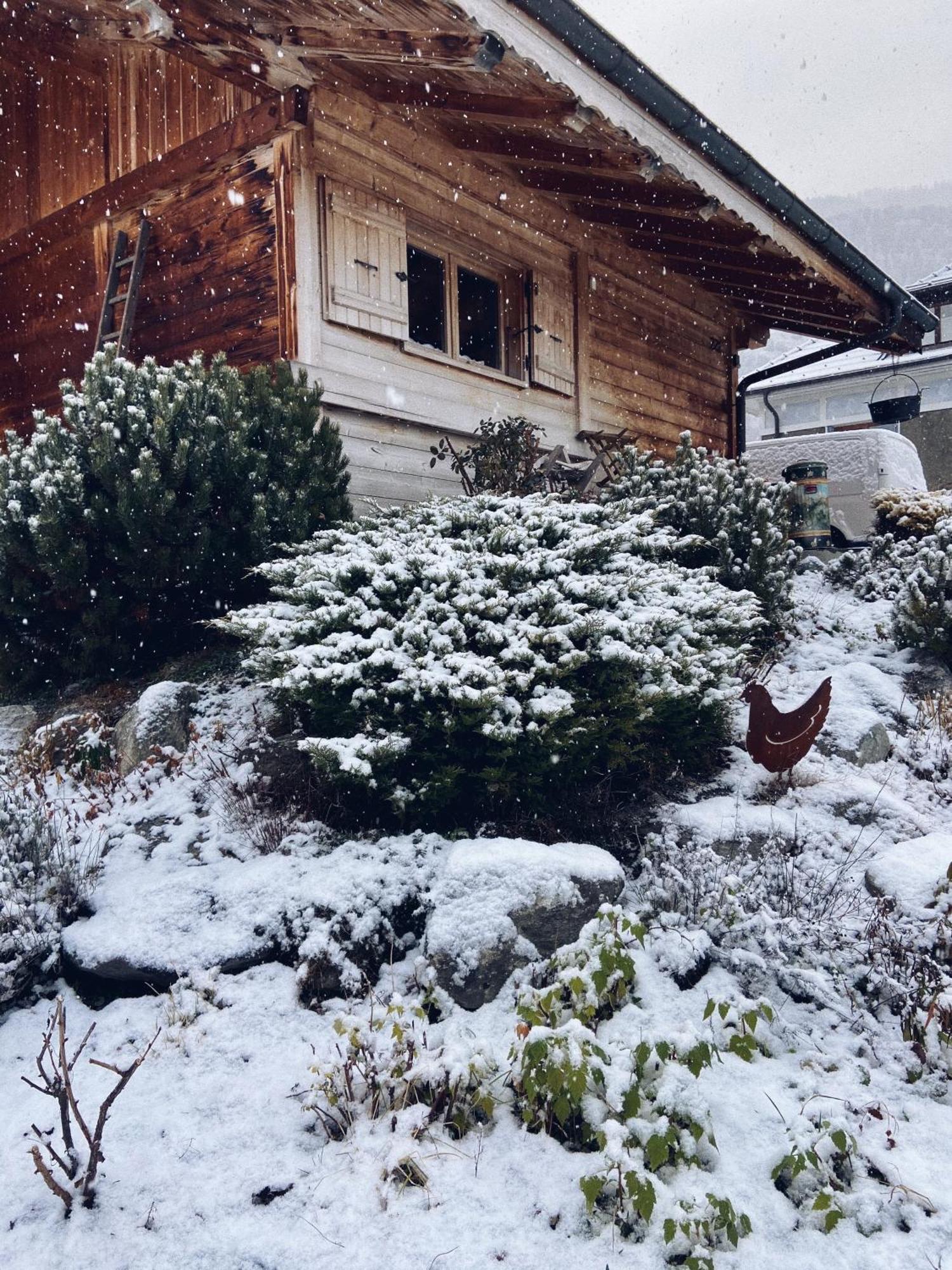 Grand Chalet A La Montagne Бур-Сен-Морис Екстериор снимка